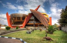 Tanzanite tour in Arusha