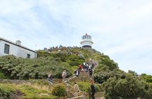  Cape of Good Hope T Mountain Bo-Kaap Penguins Private +Tickets 