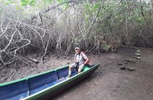 Full day to Ecological Reserve Churute Mangrove