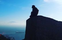 Gibraltar Sightseeing : Extended Rock Tour / Shore Excursion (Private)