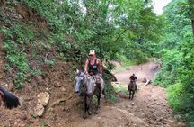 Discover a nature reserve on horseback 