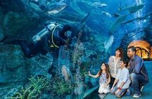 Full Day Dubai City Tour: Burj Khalifa & Underwater Zoo Ticket