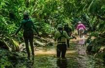 The Cañoning Jungle Adventure!