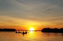 Sunset Tour Mangrove, Dolphins, Manatee #1 Rated in Cocoa Beach