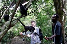 Private Tour Altun Ha Cave tubing and Baboon sanctuary from Belize City