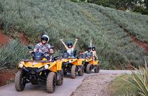 Moorea Explorer Atv Quad Tour