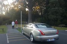 The Bay of Islands Luxury Day Tour From Auckland