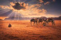 Wadi Rum Experience with Petra for 03 Days - 02 Nights From Eilat Border