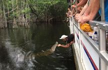 Black River Safari with Transport from Montego Bay