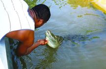 Black River Safari with Transport from Montego Bay
