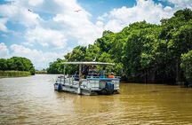 Black River Safari with Transport from Montego Bay