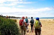 4 Day Murramarang Walk departs Canberra - Guided with Villa Accom