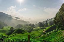 Private Tour : Cameron Highland Day Trip from Kuala Lumpur