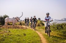 5-Hour Biking Tour in Mekong Island