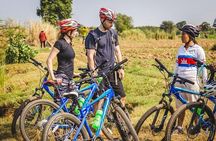 5-Hour Biking Tour in Mekong Island