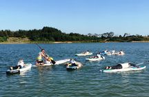SUP - Stand Up Paddle - Kitesurfing - Wingfoil & Kitefoil courses