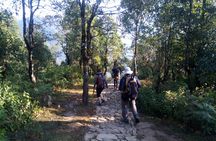 Annapurna Sunrise Trek
