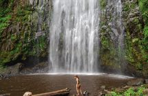 Materuni Village Tour, Waterfalls, Coffee & Culture Excursions 