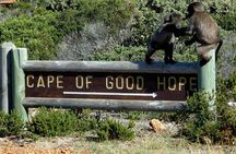 Cape of Good Hope, Cape Point & Penguins Private Morning Tour