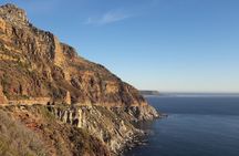 Cape of Good Hope, Cape Point & Penguins Private Morning Tour