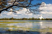 Sri Lanka Multi Day Car Hire with English Speaking Driver-Guide