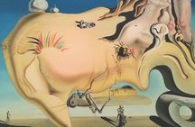 Private Tour to the Prado and Reina Sofía Museum