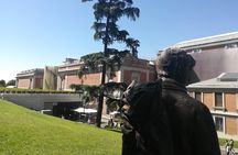 Private Tour to the Prado and Reina Sofía Museum