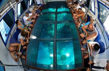 Glass Boat & Snorkeling with day use of Berenice Beach Club