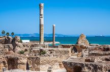 Bardo Museum- The ruins of Carthage- Village of Sidi Bou Said