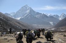 Everest Three (High) Passes Trekking 