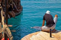 Snorkeling Trip At Satayh Dolphin Reef 