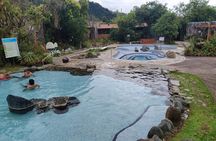 Papallacta Hot Springs & Guango Birding Reserve Private Tour