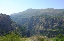 Private Full-Day Tour to Qadisha valley, Bcharre and Cedars of God from Beirut