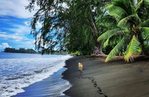 Unique Tahiti Tour - personalised, small group east coast tour