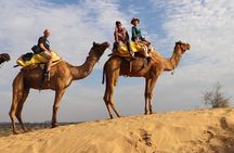 Half Day Osian Village Safari Tour with Dinner
