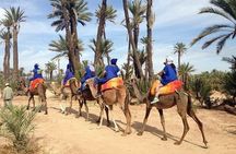  Majorel Marvels: Garden Excursion with Camel Ride in Palmeraie