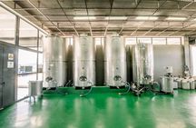 Οlive oil tour & tasting by Markellos Olive