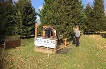 25 Shot Clay Shooting Experience