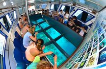 Glass Boat & Snorkeling with day use of Berenice Beach Club
