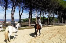 Horse Riding Small Group near Lucca