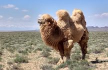 Private Day Tour to the Land of Canyons-UNESCO-of Kazakhstan