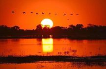 Sunset Cruise on the Zambezi River