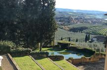 Leonardo da Vinci Voyage with Olive Oil, Food and Wine Dream