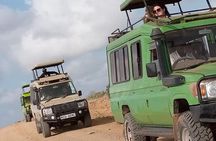 Safari Kenya with Patrick 