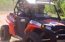 Cabo Original Real Baja 1000 Tour (Triple UTV)