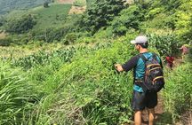 Wet & Wild: Tamanique Waterfalls + Craft Beer sampling & Lunch
