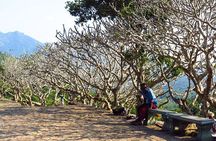 Private Day Trip to Sigiriya And Dambulla From Trincomalee.