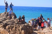 Cabo Migrino Beach and Desert ATV Tour plus Tequila Tasting