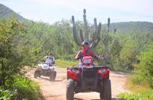 Cabo Original Real Baja 1000 Tour (Single ATV)