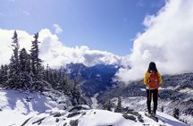 "Best of Mount Rainier National Park" Experience from Seattle